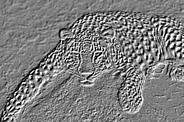 Immagine finale in rilievo